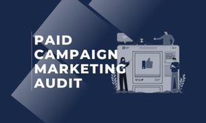 Paid campaign marketing audits